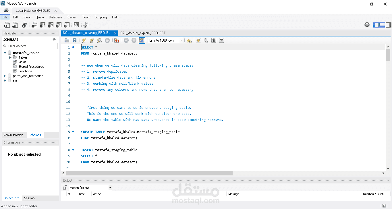 SQL -Analysis of Layoff Trends and Remote Opportunities- Projects