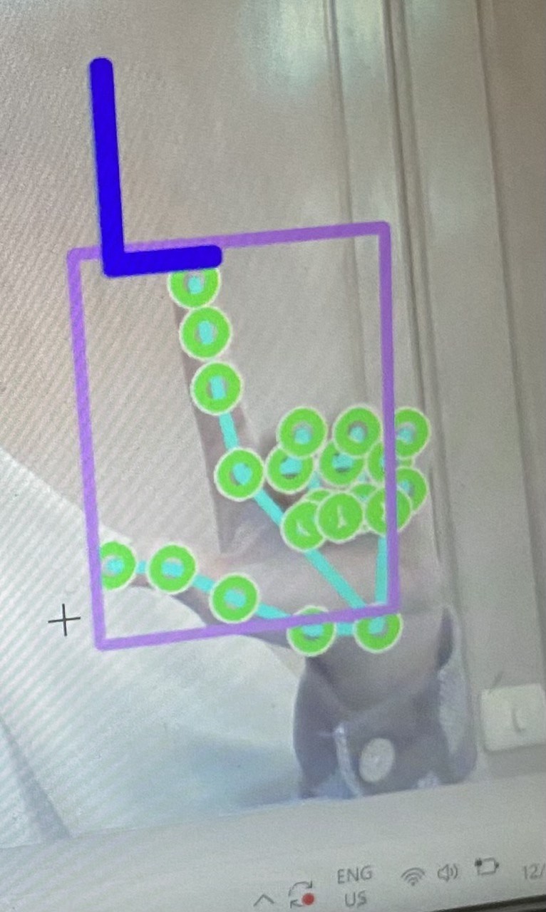 American Sign Language real-time detection