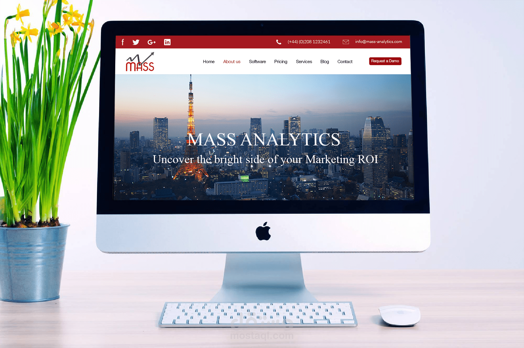 موقع Mass_Analytics