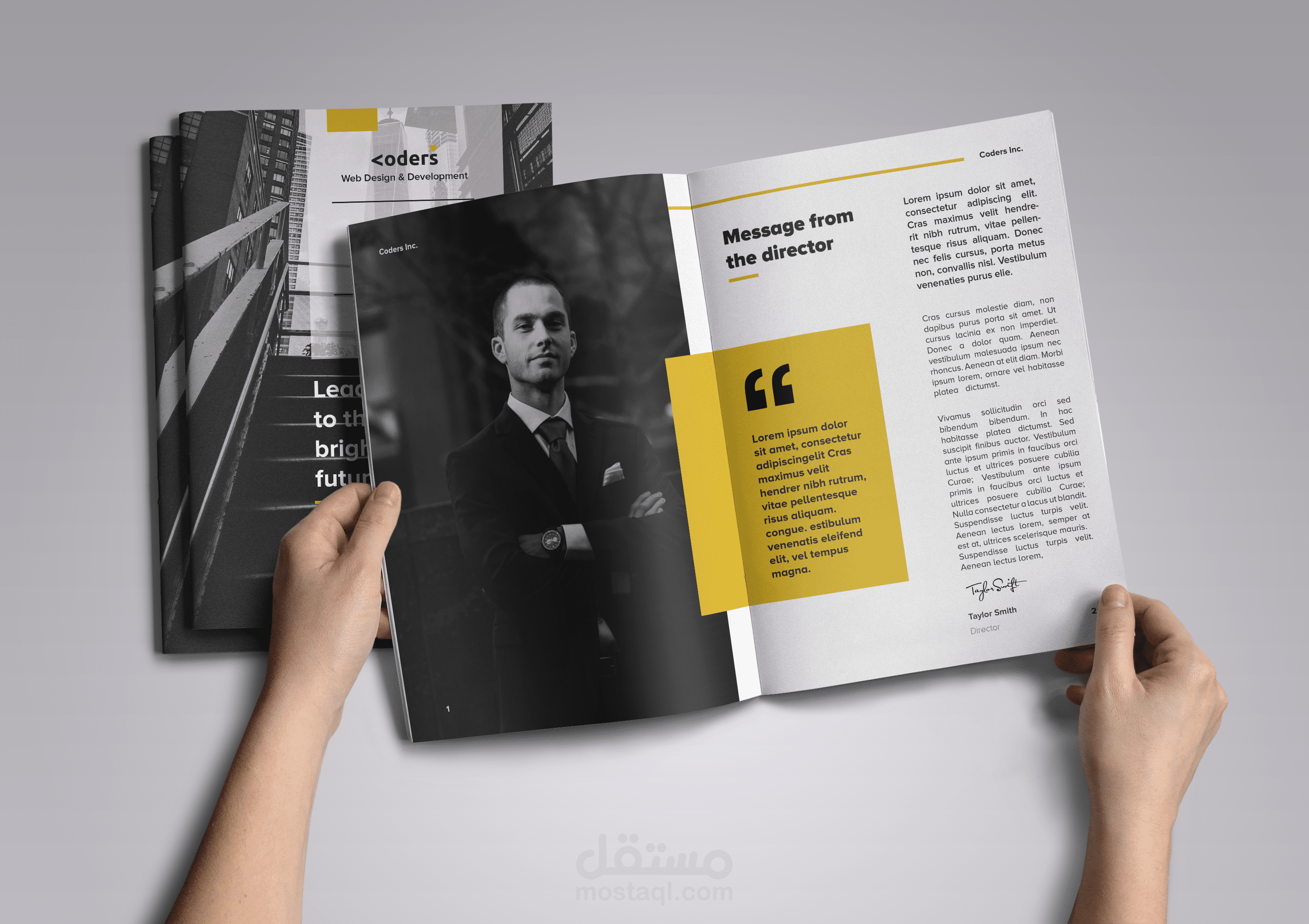 annual report || تقرير سنوي لشركة