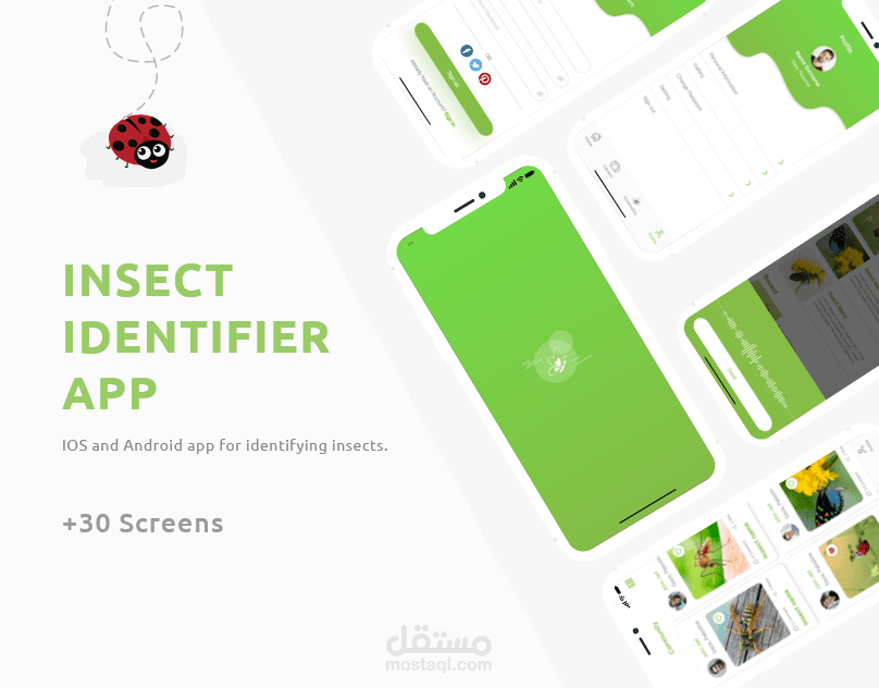 UI || Insect Identifier App