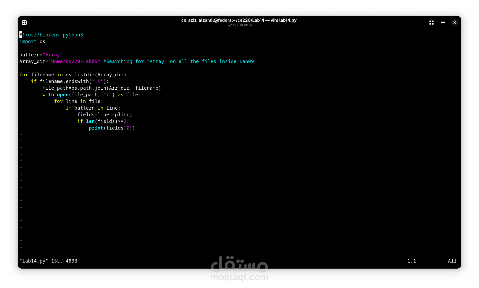 python scripts