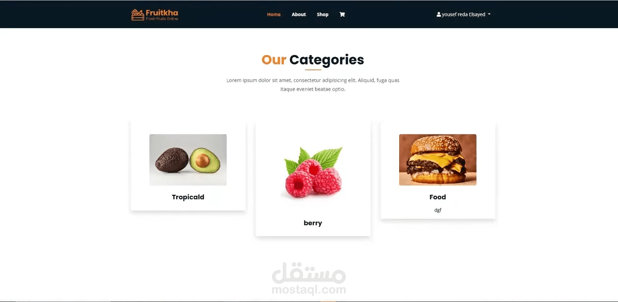 e - commerce website