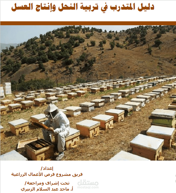 إستشاري تدريب وبناء مؤسسي