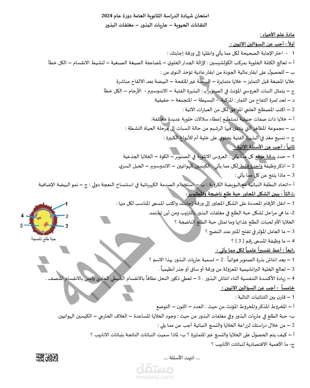 اختبار تدريبي