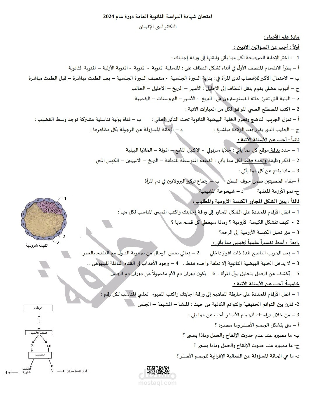 اختبار