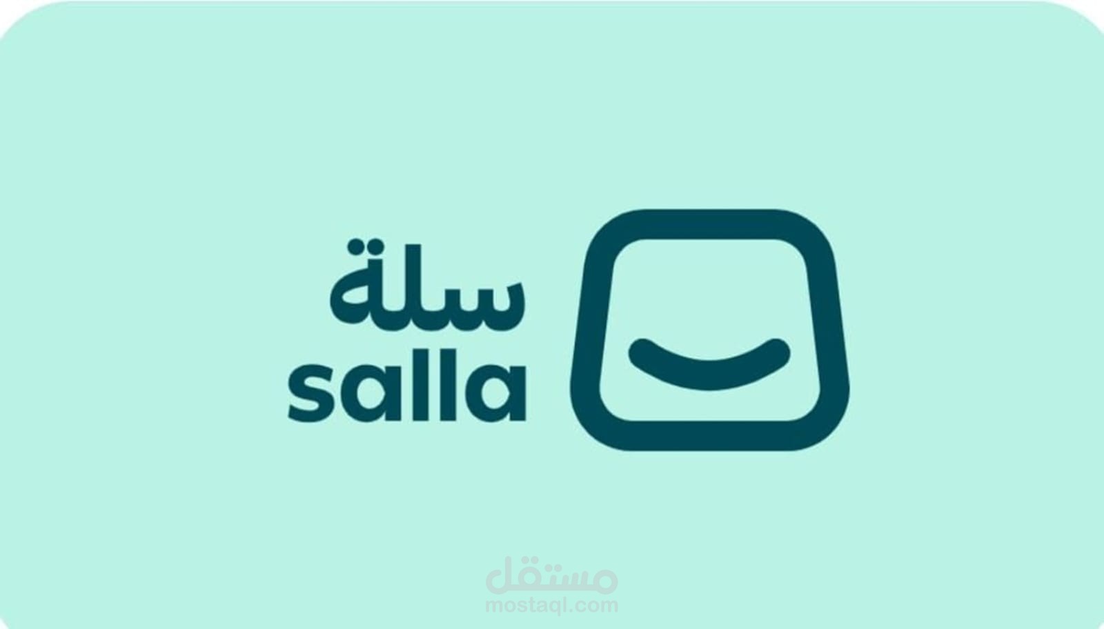 إدارة احترافية لحسابات المتاجر على منصة سلة