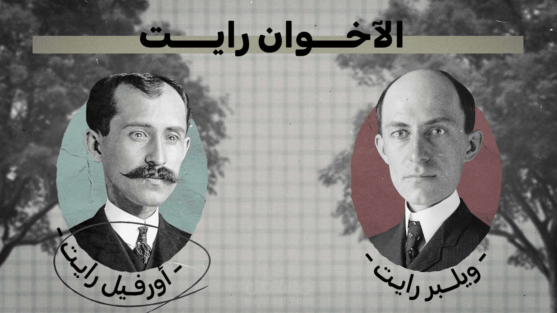 كولاج انميشن
