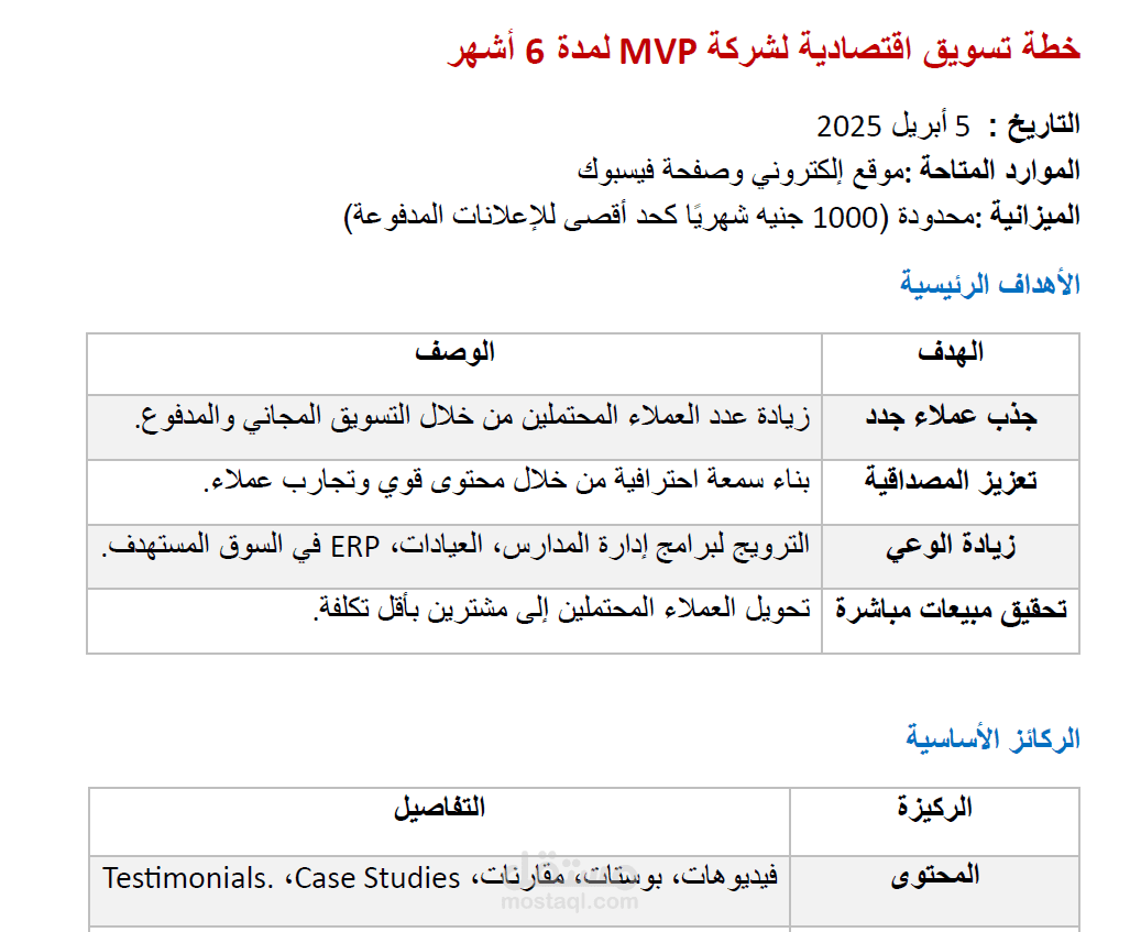 خطة تسويق لشركة برمجيات