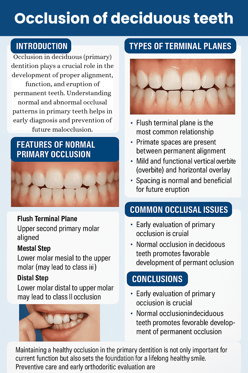 ? "الإطباق (Occlusion) في الأسنان اللبنية (Deciduous Teeth)"