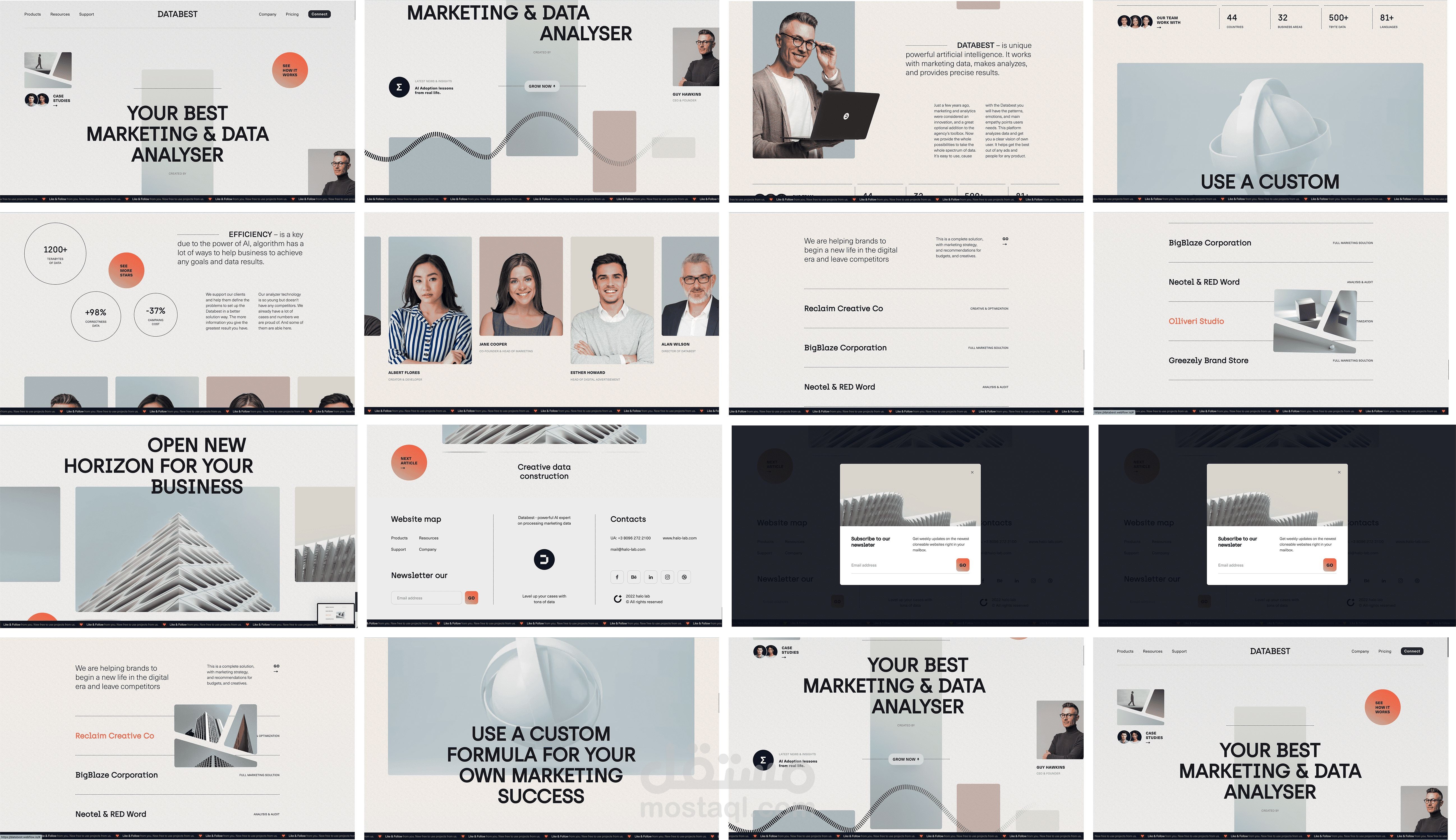 Databest in webflow