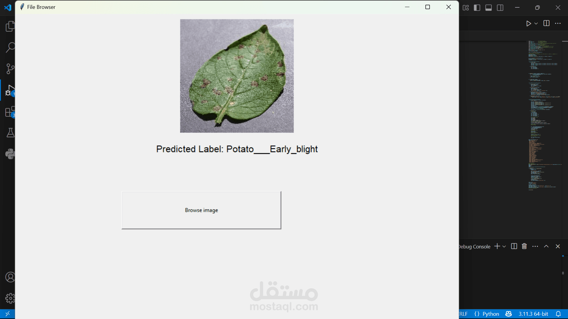 plant disease detection