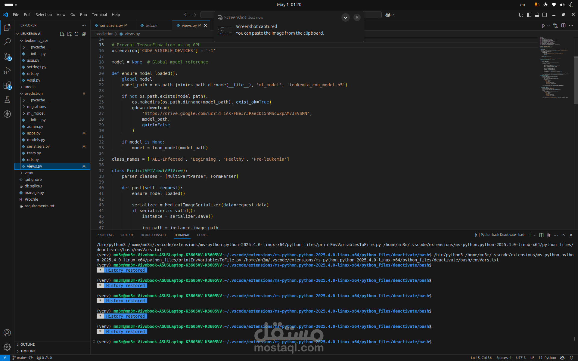 Lukemia Prediction ML Model API