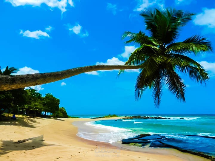 قصيدة قبل يديَّ