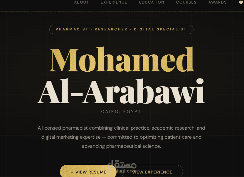 تصميم بورتفوليو احترافي - Design professional portfolio