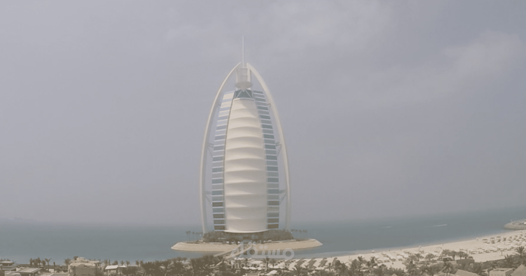 الويلد وادي