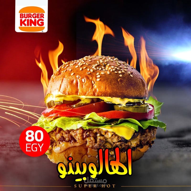 سوشيال ميديا