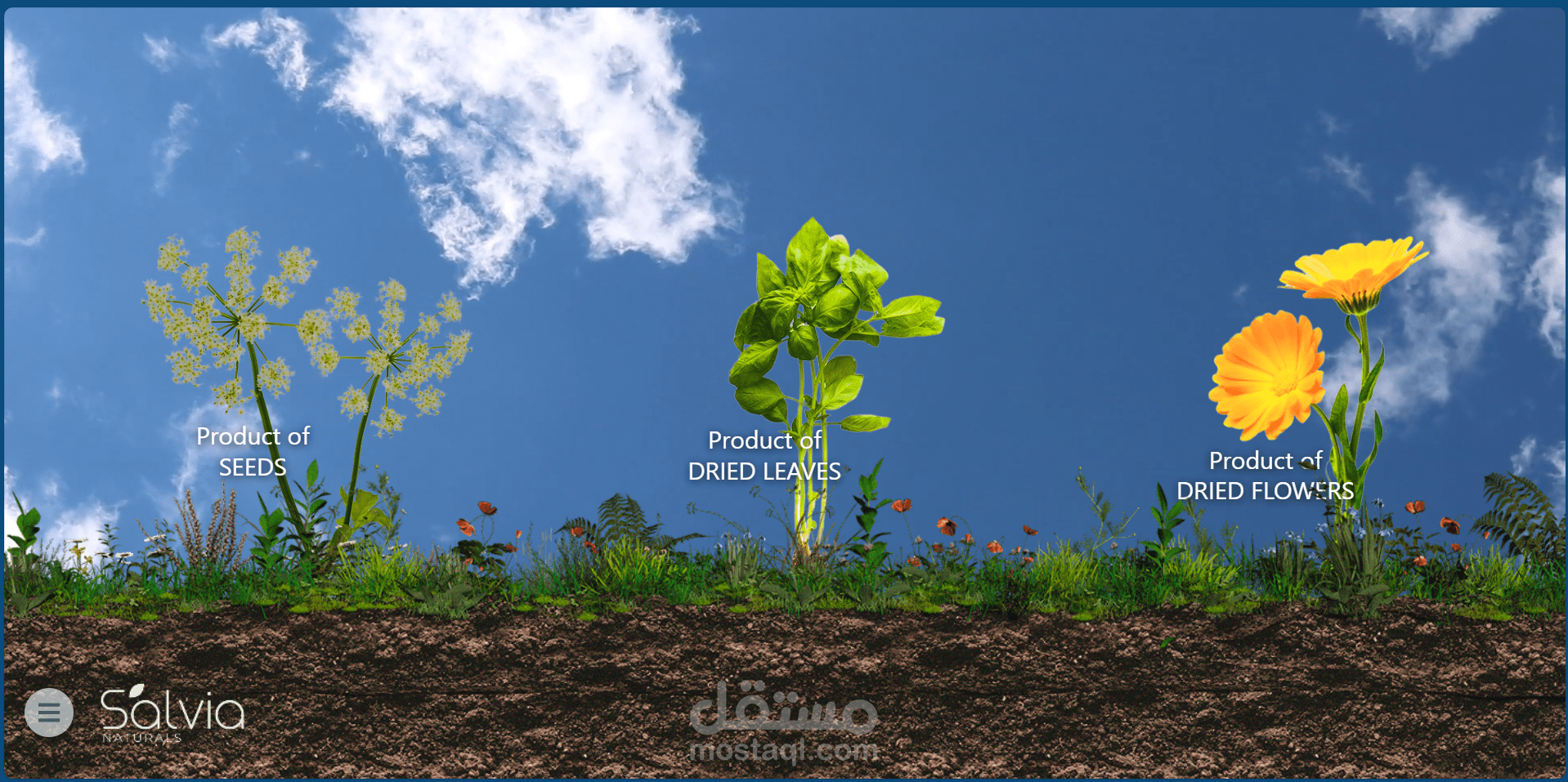 تطوير نظام إدارة محتوى (CMS) متكامل وموقع تفاعلي للشركات