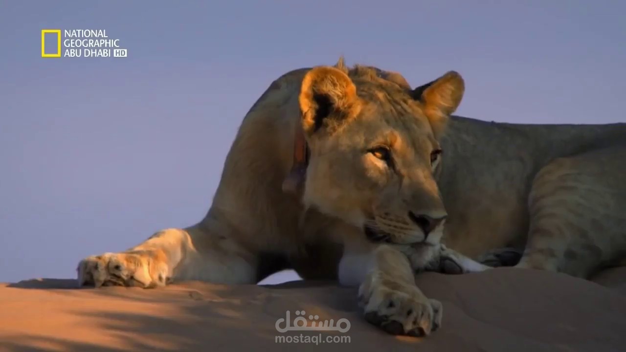 تعليق صوتي وثائقي