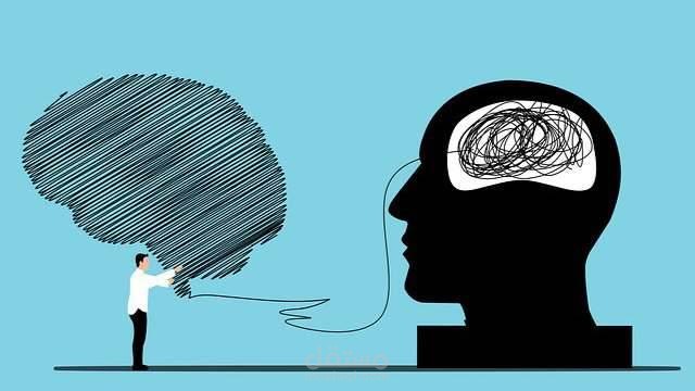 تقرير تحليلي لفريق عمل داخل شركة ناشئة الوصف:
