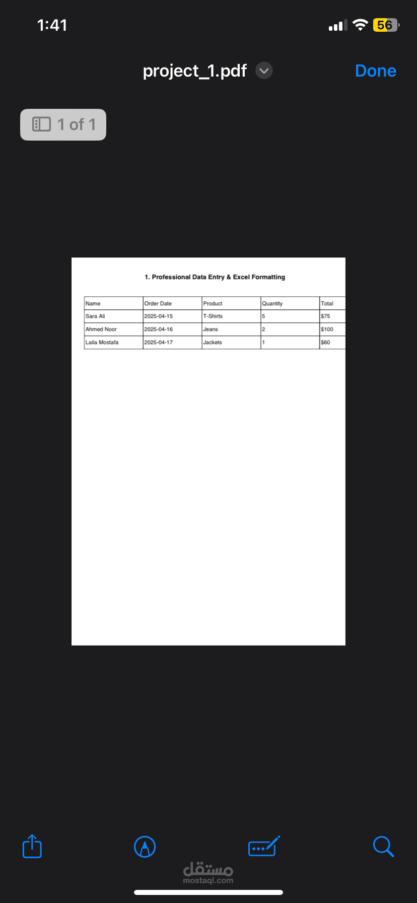 Professional Data Entry & Excel Formatting