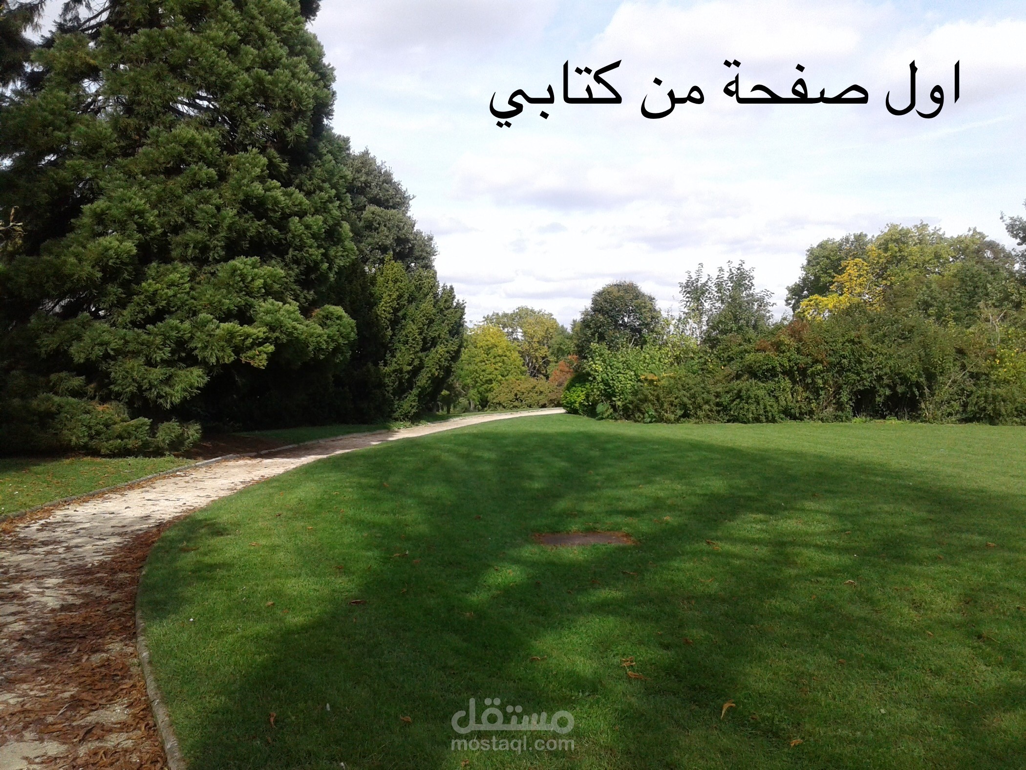 تاليف  كتاب