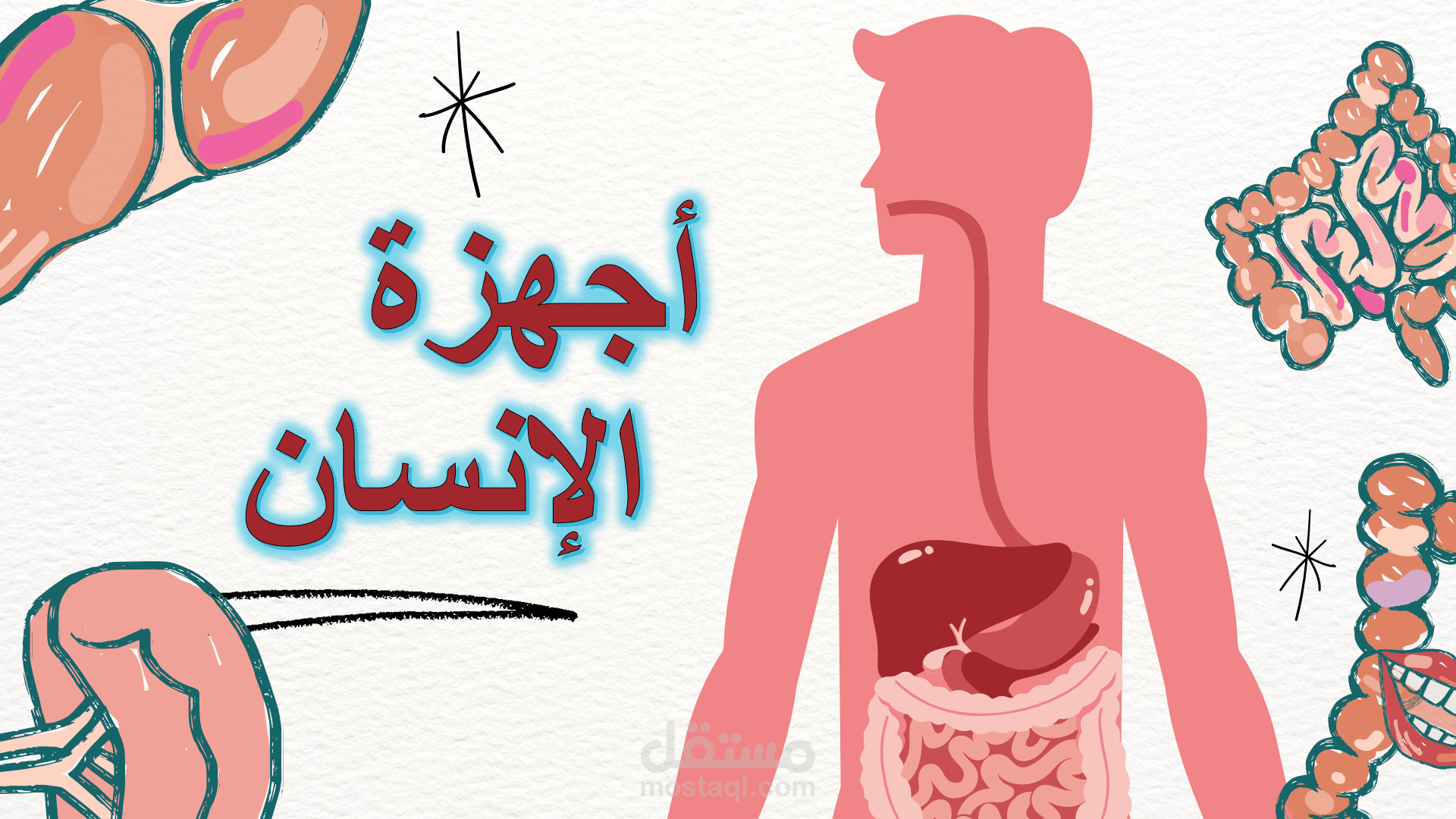 تحضير درس عن اجهزة الأنسان بواسطة البوربوينت