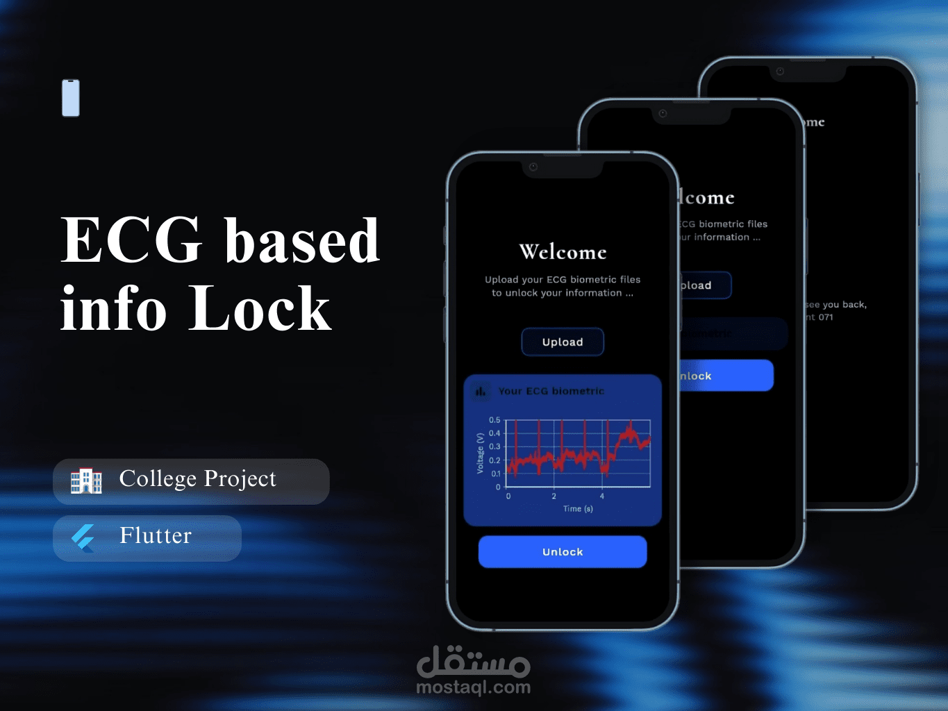 ECG Based-Info Lock Interface