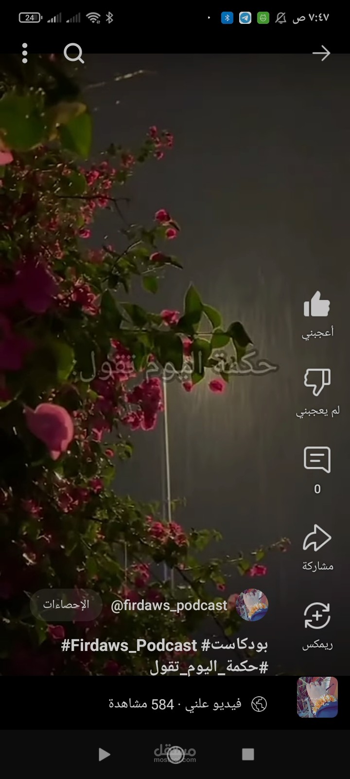 فيديو شورت