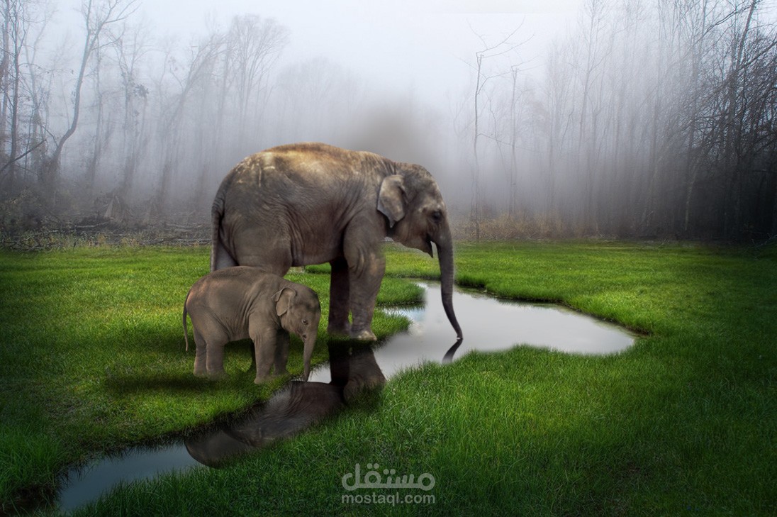 تصميم و دمج الصور بالفوتوشوب