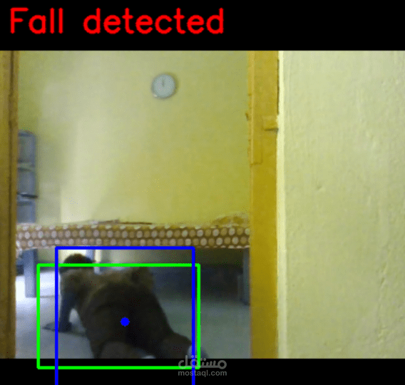 Fall Detection System