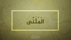 الاسم المثنى وإعرابه