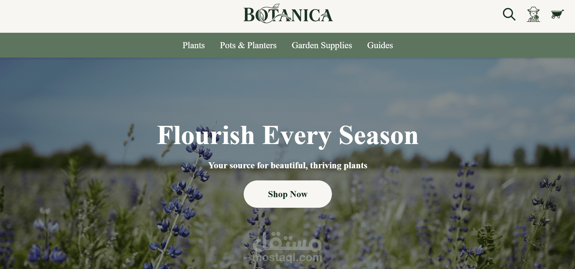 Plant Shop Web Application (React)