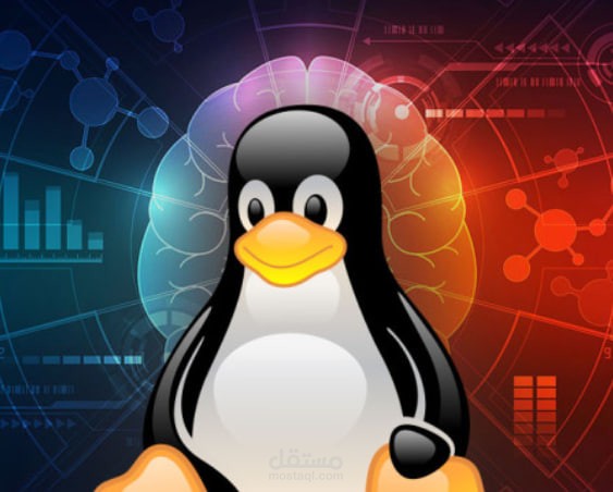 إعداد وتأمين سيرفرات Linux وإدارة قواعد البيانات