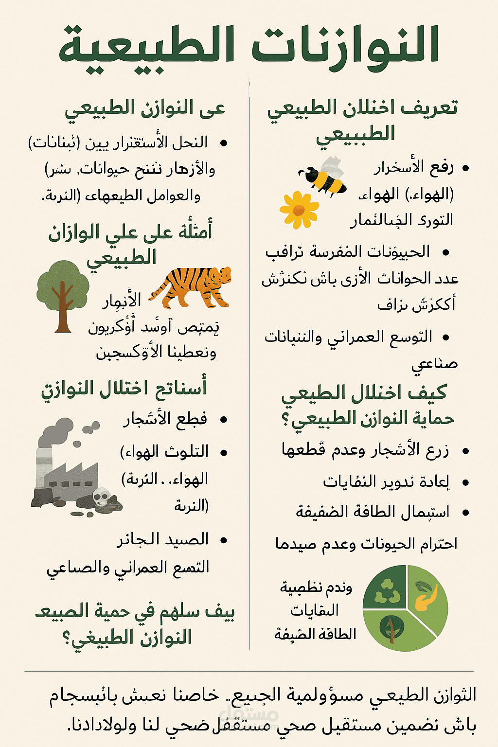 تصميم كراسات تلخيص وتمارين الدروس الابتدائية