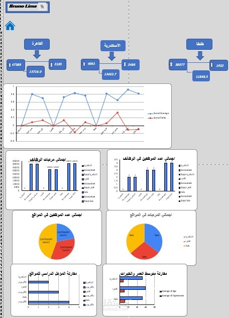 Excel Dashboard for business analysis