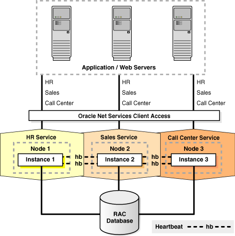 developing oracle rac database