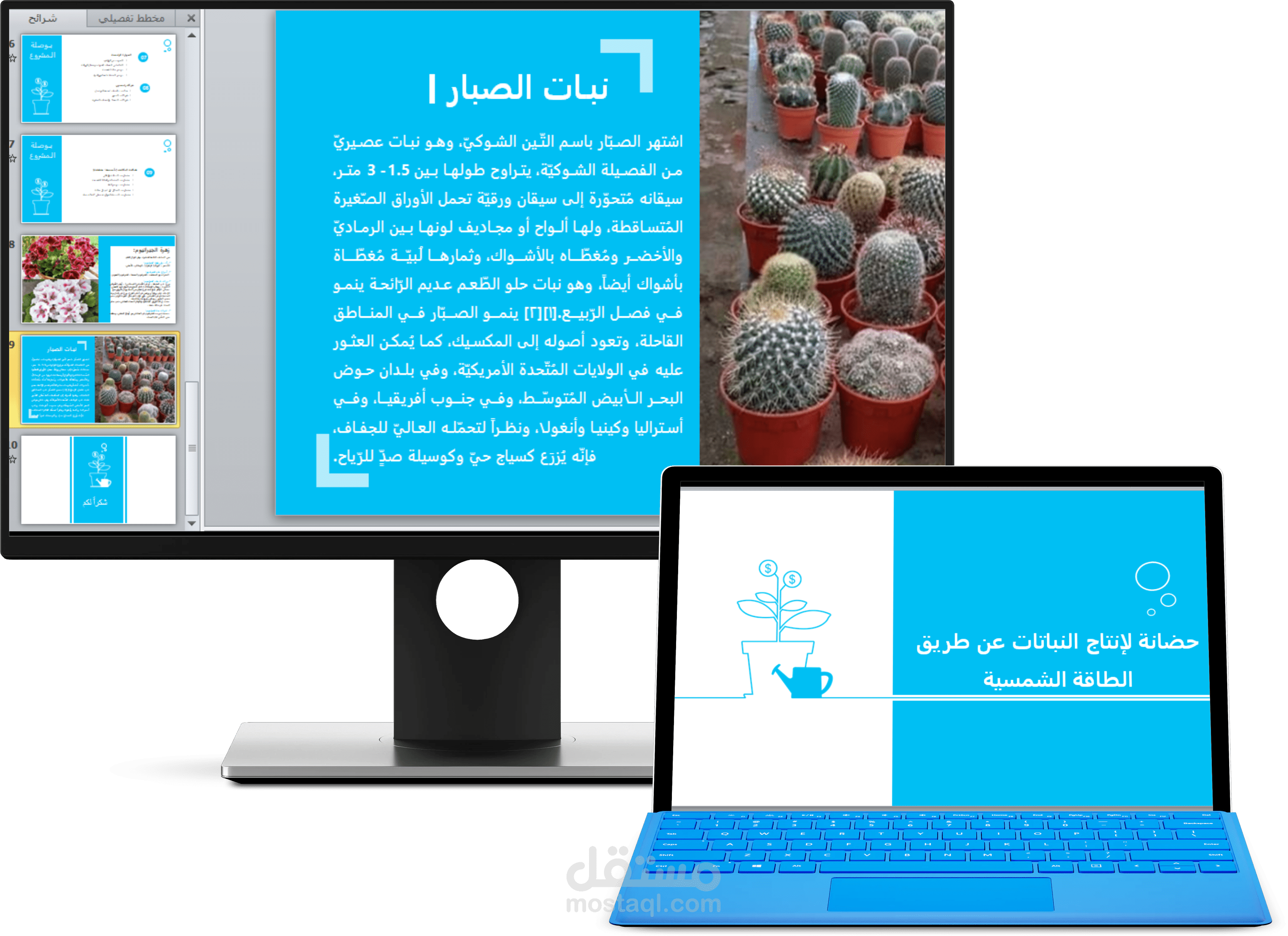 عرض بوربوينت لمشروع استثماري powerpoint