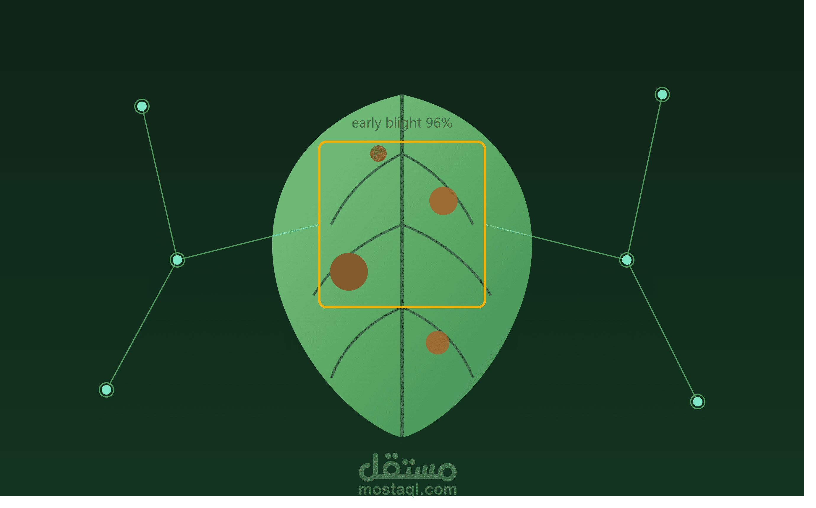 Plant Health Checker – نظام ذكاء اصطناعي لتشخيص أمراض النباتات من الصور