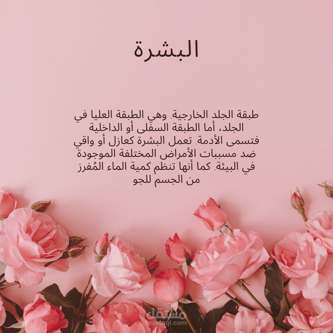 عملت شرح عن انواع البشرات
