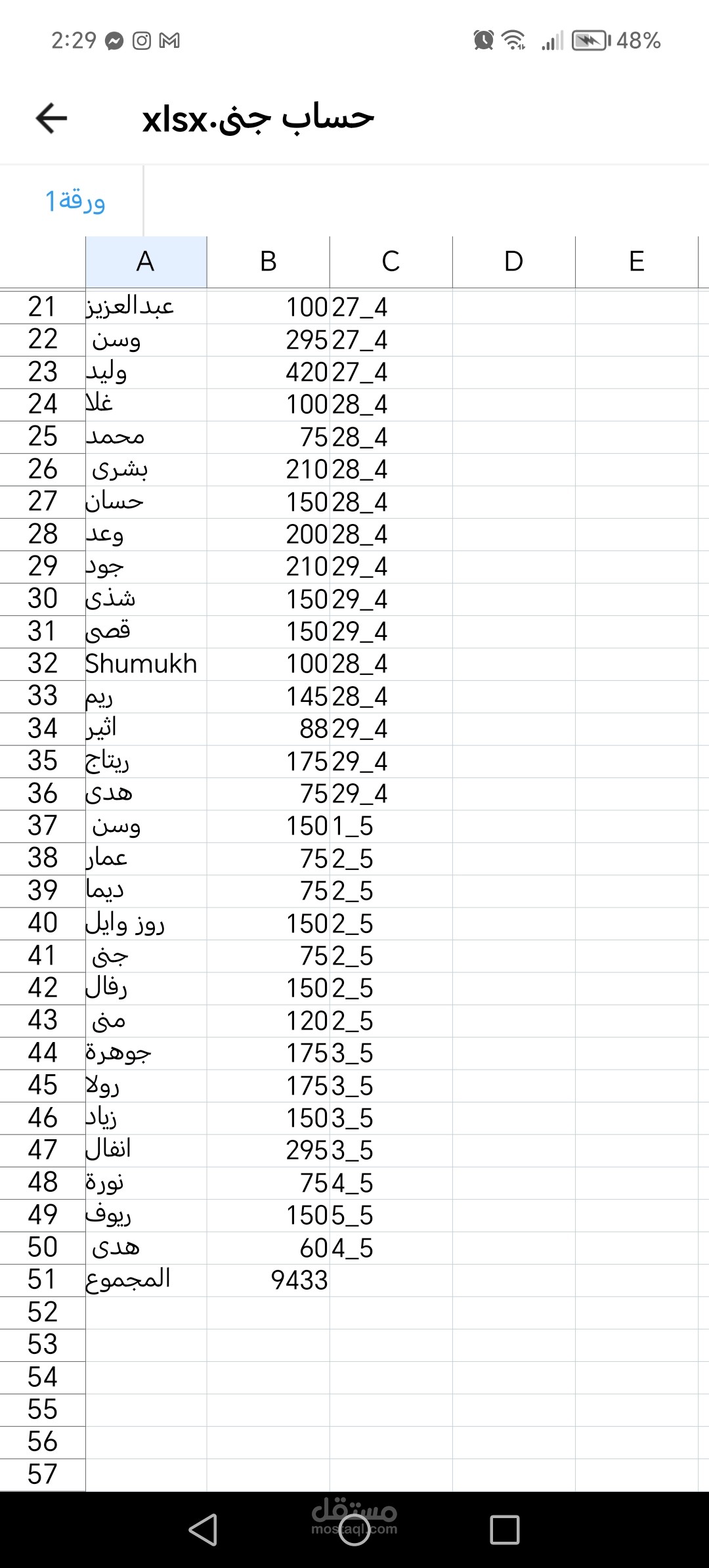 منسقة بيانات وإدارة سجلات مالية (Excel)