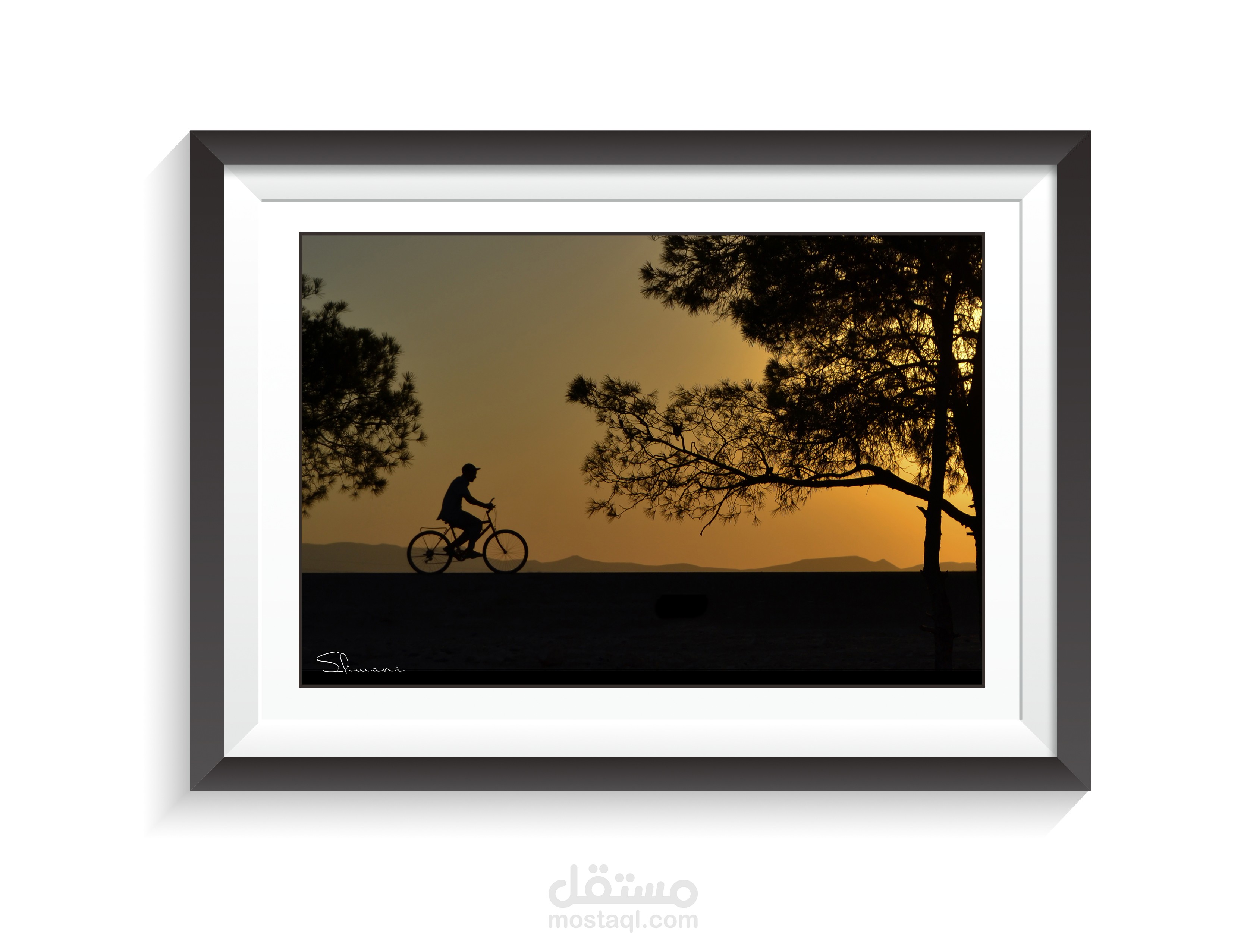 أعمالي الفوتوغرافية