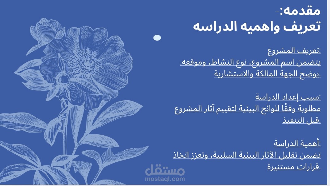 الأثر البيئي للمشروعات