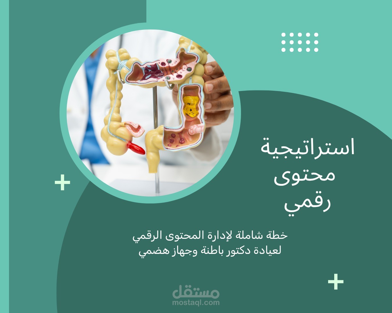 إدارة المحتوى الرقمي وتطوير حساب الدكتور حسان عودة(جهاز هضمي وباطنة)