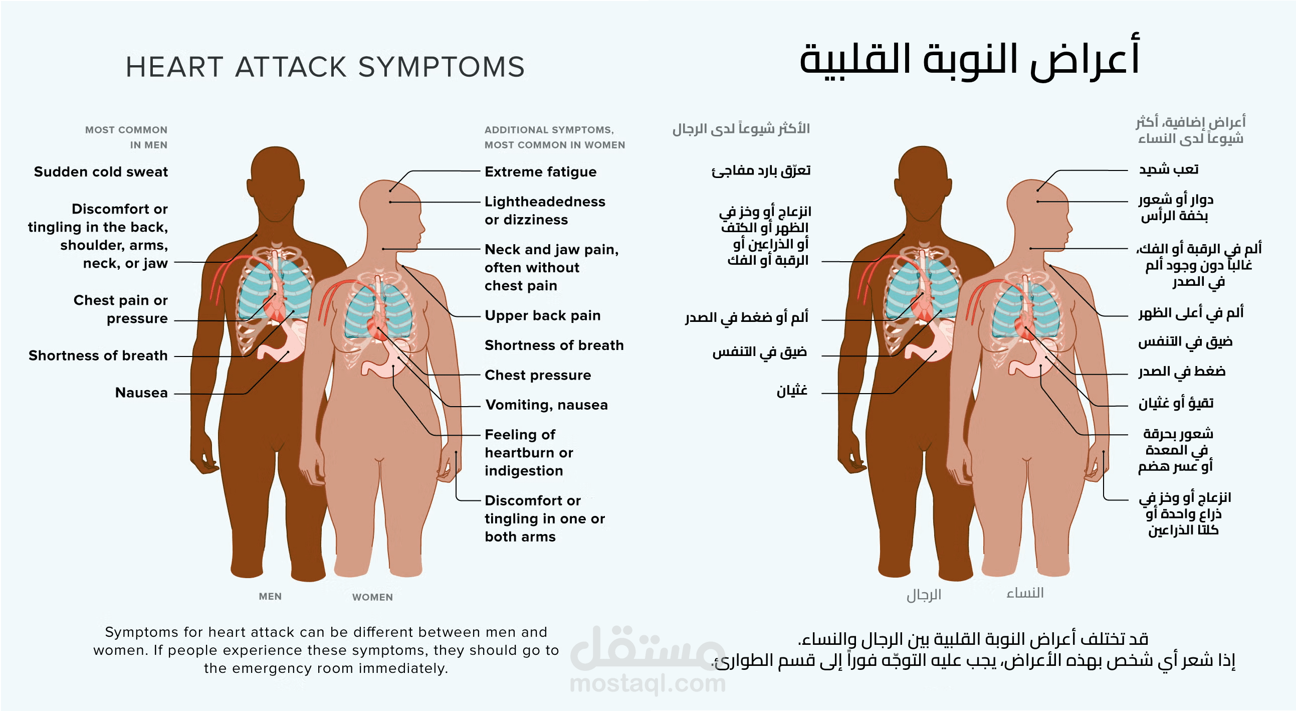 ترجمة بروشورات طبية لنشرها في أماكن عامة لتوعية المواطنين.
