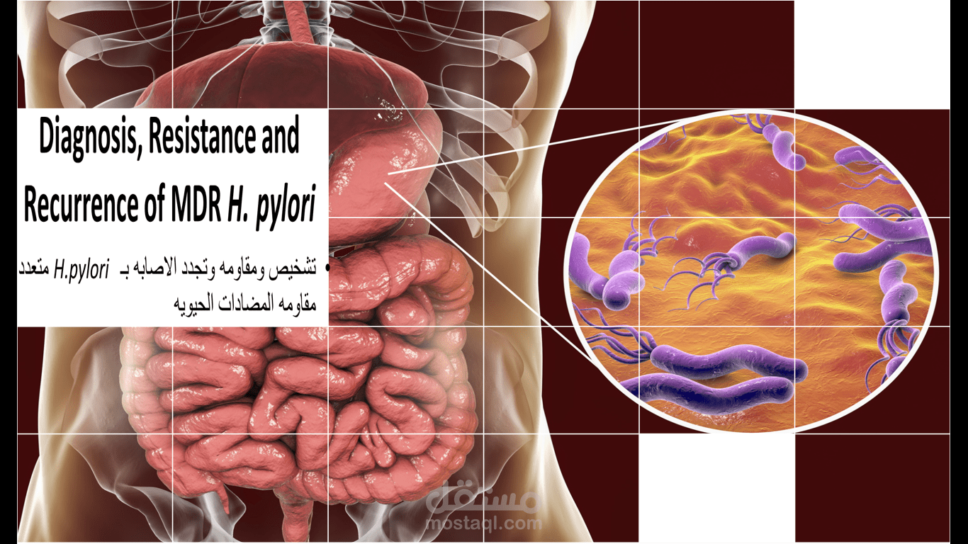 تصميم وكتابه عروض تقديميه باحترافيه