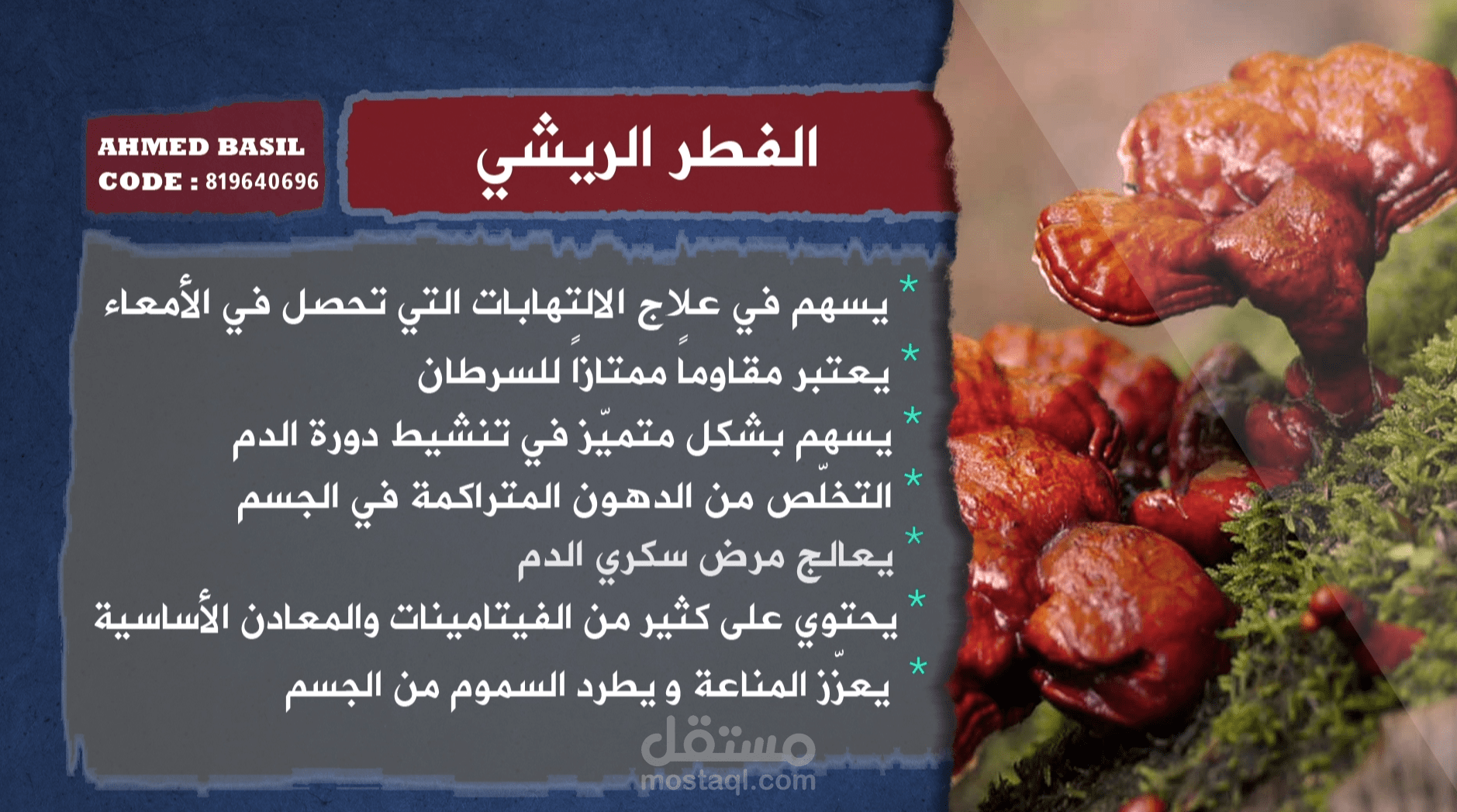 فوائد  الفطر الريشي لاحد منتجات شركة DXN