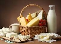 دراسة جدوى مشروع الألبان