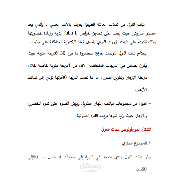 ملف word