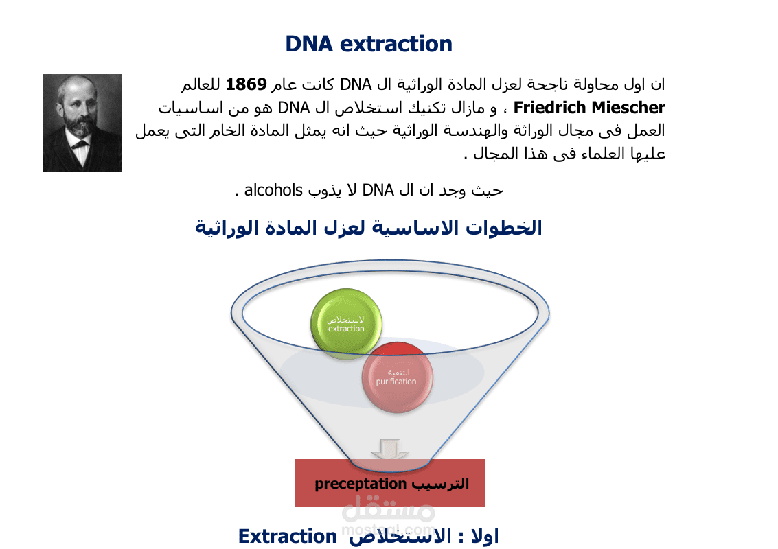 ملف word